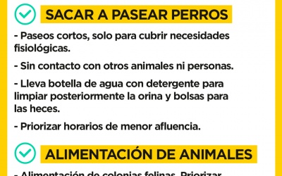 Acciones permitidas para hacer con nuestras mascotas durante el estado alarma por el covid19