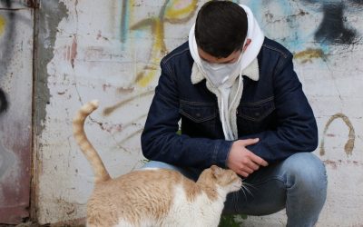 Coronavirus y animales de compañía explicado por veterinarios