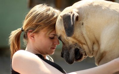 Los beneficios de las mascotas para la salud mental