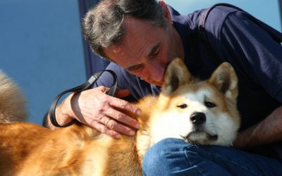 Consejos para vivir con un perro ciego